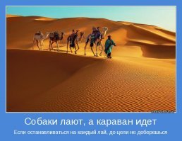 Либерасты глупы и убоги, поэтому и пытаются свалить свою убогость на других.