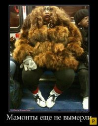 Странные люди из странного мира