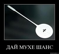 Жирным мухам никаких шансов!