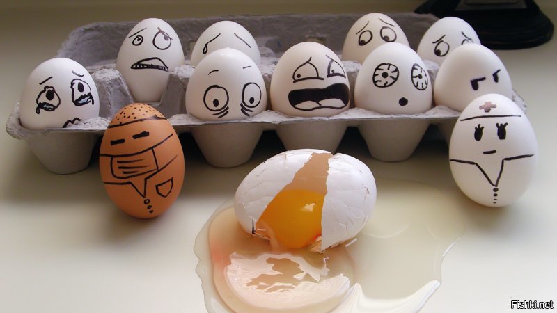 7 мифов о куриных яйцах