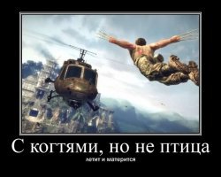 Смешные  демотиваторы