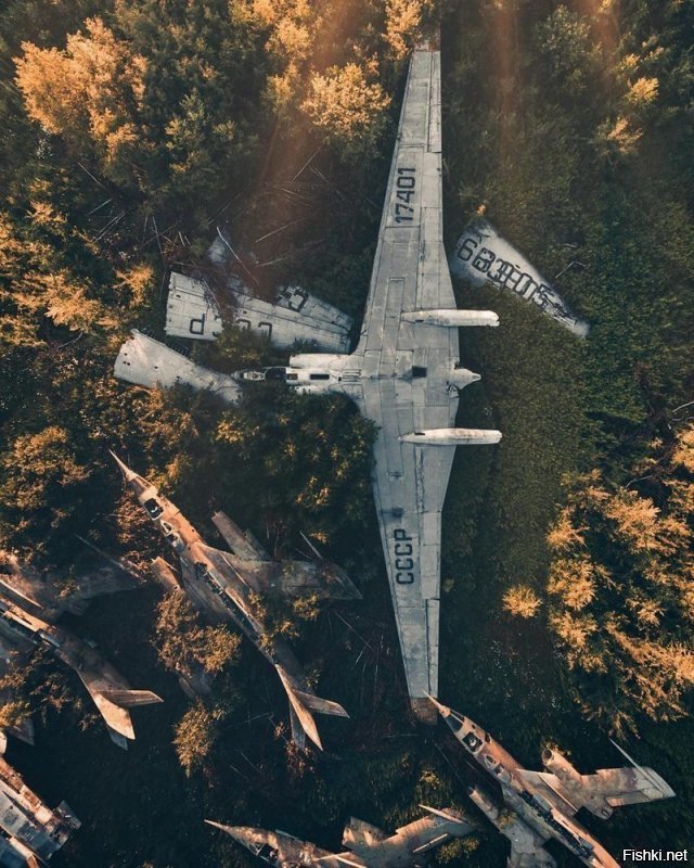 Кто знает, что это за самолёт на фото?