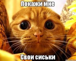 Что он там хотел увидеть?