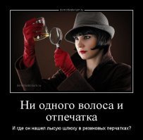 Жена вернулась с дачи. Летний детектив