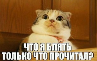 Жена вернулась с дачи. Летний детектив