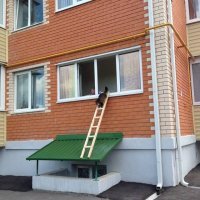 В Воронеже соорудили отдельный вход для кота в многоэтажку