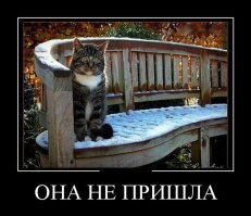 Одинокие люди, которые не унывают!