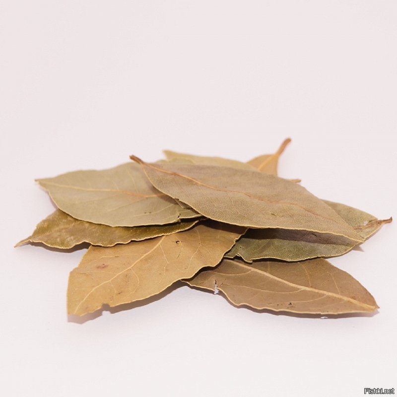 Если лист древний, то вкуса от него нет, только горечь. А вот свежесорванный лист придает весьма приятный аромат.
Определить можно по виду - старый лист - серый, свежий - зеленый