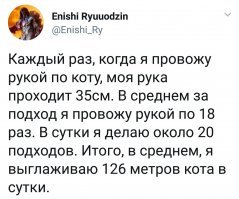 Профессиональный котограф: "Кошки умеют улыбаться"