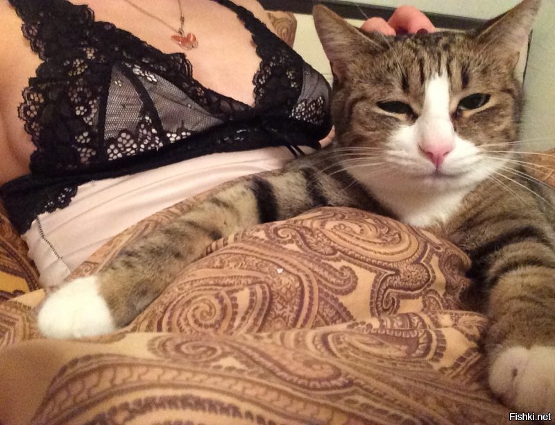 На последней фотке кот какой-то не очень довольный, а больше задумчивый.