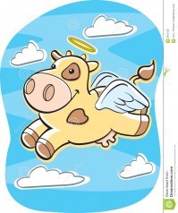 С Росгосстраха документ