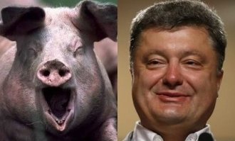 Правда, штоле?