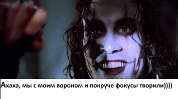 Как умные вороны меняют наше понимание интеллекта