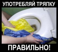 Как умные вороны меняют наше понимание интеллекта