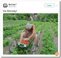 Клубничку уже прополол спирохета? Или уже по Кремлю на Абрамсе рассекаешь?