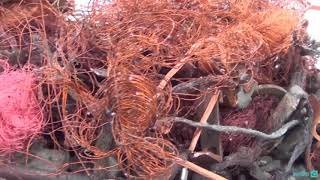 A уже собирают осколки? А то у мня меди лишка осталось. Могу подкинуть чутка.