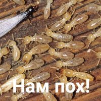 Buick Estate Wagon 1953 - деревянный универсал