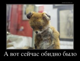 Войлочные животные, которых не отличить от настоящих