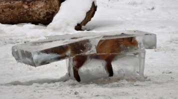 Кто-то теряет, а кто-то... потом посты на Фишках об этом пилит