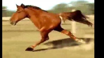 Оригинальный и полезный AliExpress этой недели