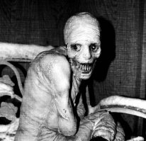 чего тут пугаться то? это вообще милашка