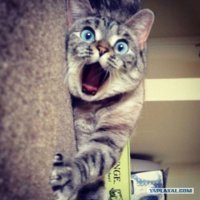 как я вообще без этого жила.?