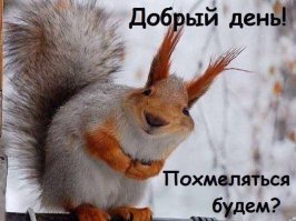 «Жирнее, слаще, вреднее!»: Американская еда, которой нет оправдания