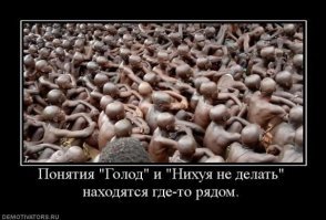 Ленивые негры , дешевые черномазые шлюхи , ничего не изменилось ...
У себя в Африке за тысячелетия они не создали даже подобия цивилизации. Ни в одной стране . Имея в древности соседями столь высокоразвитые страны как Древний Египет , Карфаген , Иудею , Персию они не переняли у них ничего . Ни техники, ни науки,ни законодательства. Ни у одного из чёрных племён до сих пор нет даже письменности и они пользуются языками и письменностью европейских народов, которые когда-то ими управляли и научили их хотябы мыться и ходить в штанах .