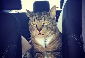 Самый жаркий котёл тем, кто закрывает форточки и люки в общественном транспорте в жару. И никаких сквознячков. Чтобы не продуло, конечно.
Твоё лицо, когда в салоне жарко, а тебя просят закрыть окно.