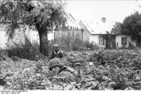 Операция " Багратион"