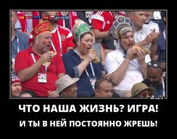 Свежая подборка демотиваторов, которые поднимут вам настроение