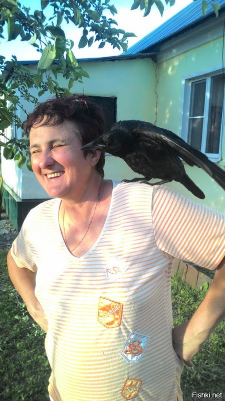 Под каждым словом подписываюсь. Подобрал граченка, более умного создания, кроме двуногих сапиенсов не встречал.