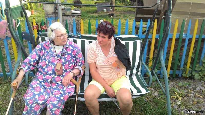 Под каждым словом подписываюсь. Подобрал граченка, более умного создания, кроме двуногих сапиенсов не встречал.