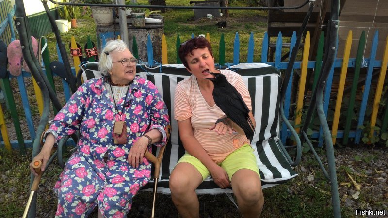 Под каждым словом подписываюсь. Подобрал граченка, более умного создания, кроме двуногих сапиенсов не встречал.