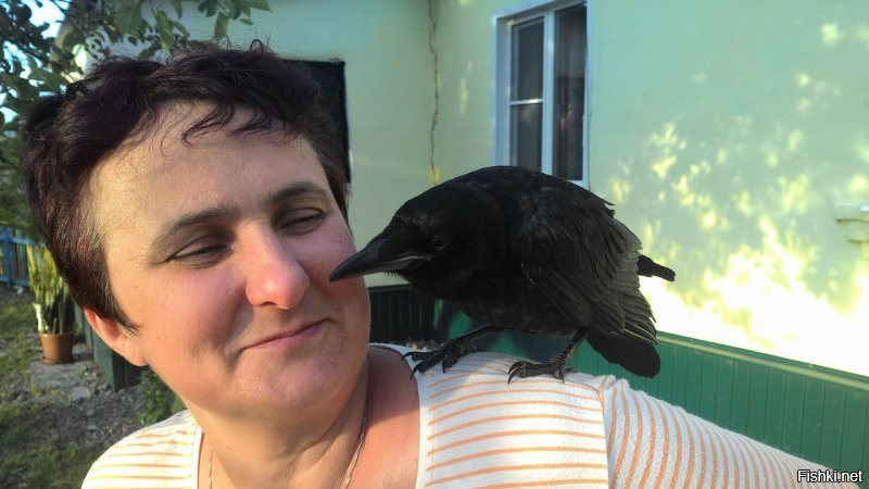 Под каждым словом подписываюсь. Подобрал граченка, более умного создания, кроме двуногих сапиенсов не встречал.