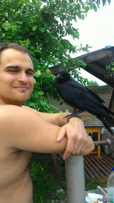 Под каждым словом подписываюсь. Подобрал граченка, более умного создания, кроме двуногих сапиенсов не встречал.