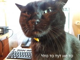 Девушка показала насколько опасны прогулки по горячему песку