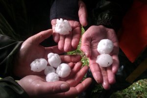 Был в Астраханской обл, рыбачили на вёсельной лодке, начался такой же град, еле успели до берега догрести и спрятаться под деревом. Страшно конечно...
