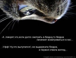 Фотоподборка за 03.07.2018