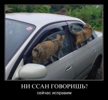 Свежая подборка демотиваторов, которые поднимут вам настроение