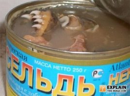 Новые фото фантастических морских существ от Романа Федорцова