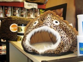 Новые фото фантастических морских существ от Романа Федорцова