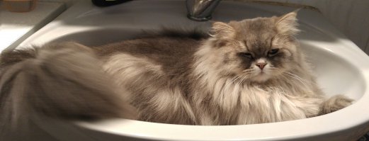 Подъёма не было ...