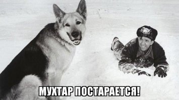Троих уже тяну)))