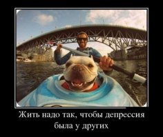 Подборка демотиваторов для хорошего настроения