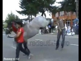 Только в Болливуде