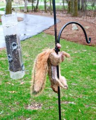 20 доказательств того, что настоящая девочка может застрять где угодно