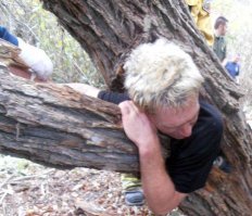 Увы, не только девушки...