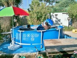 Это бодиборд, а не сёрф.