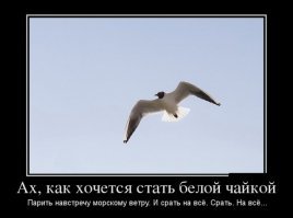 Вот почему я теперь всегда внимательно читаю любую инструкцию